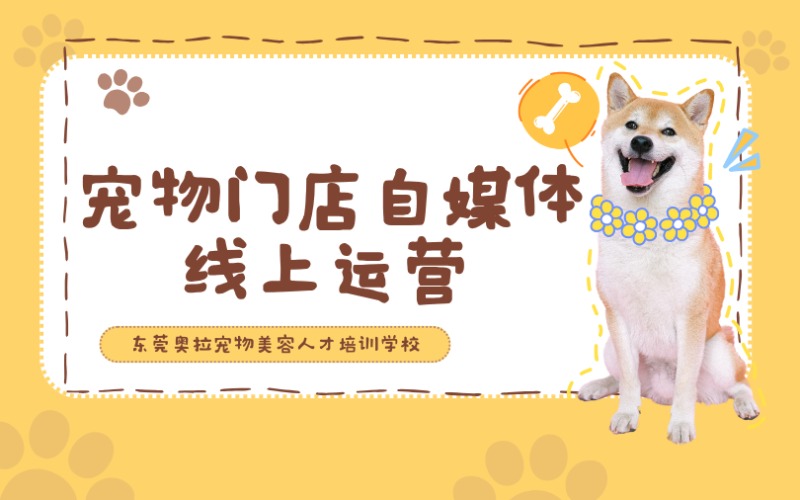 東莞寵物門店自媒體線上運(yùn)營提升班