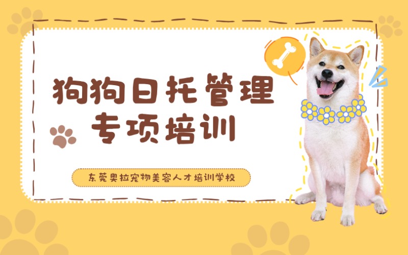東莞狗狗日托管理專項培訓(xùn)班