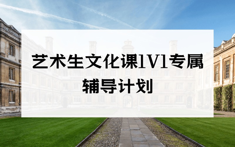 北京藝術(shù)生文化課1V1專屬輔導(dǎo)計劃