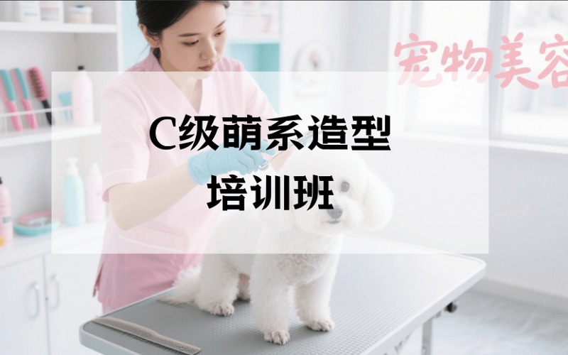 重慶寵物美容C級萌系造型培訓班