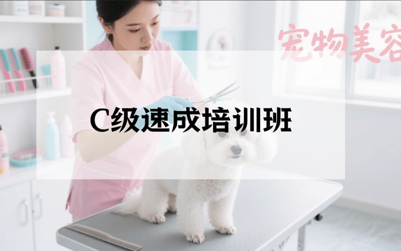 重慶寵物美容C級速成培訓班