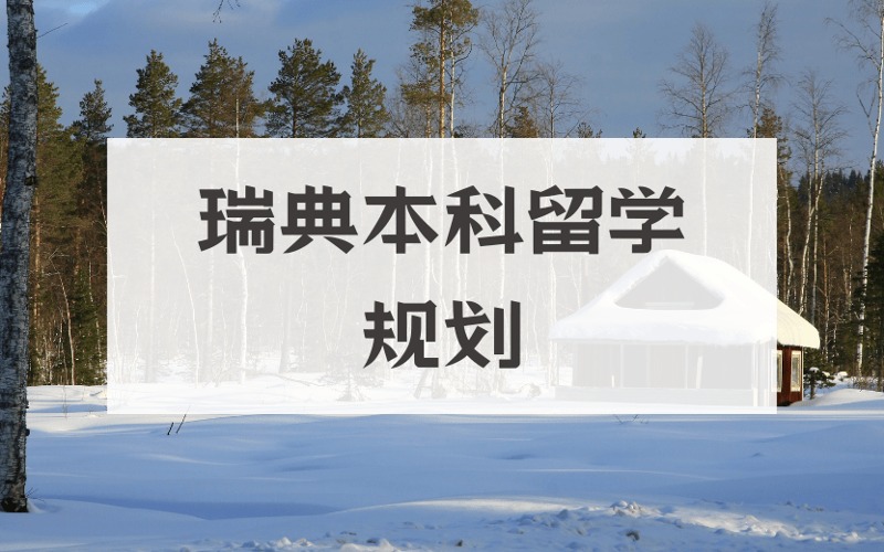 上海瑞典本科升學(xué)規(guī)劃服務(wù)項目