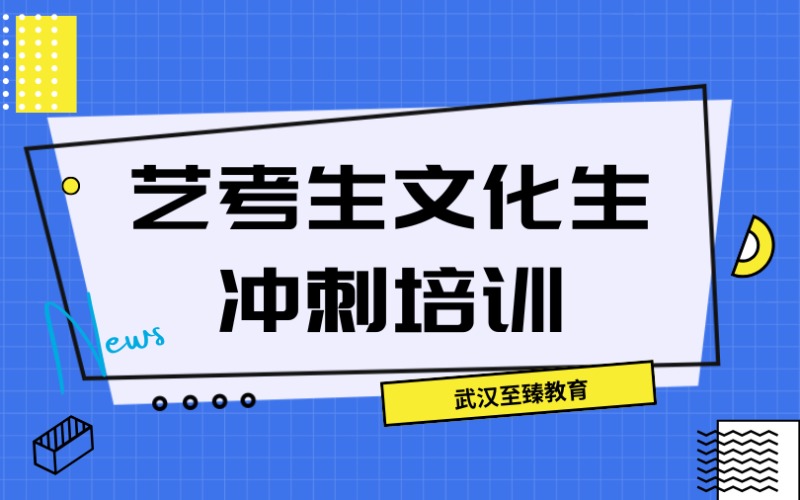 武漢藝考生文化生沖刺培訓(xùn)班
