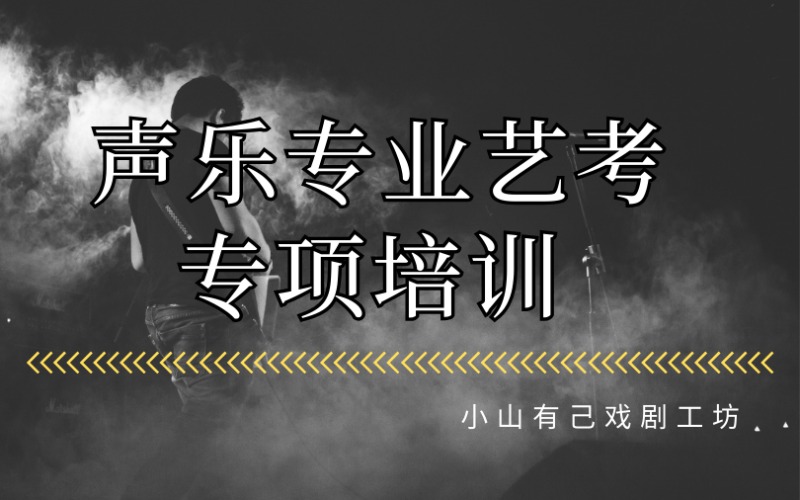 石家莊聲樂專業(yè)藝考專項培訓(xùn)班