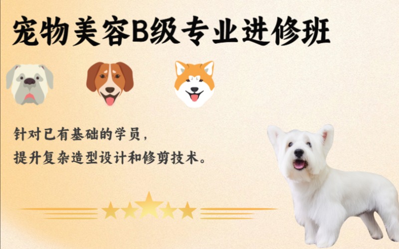 合肥寵物美容B級專業(yè)進修班
