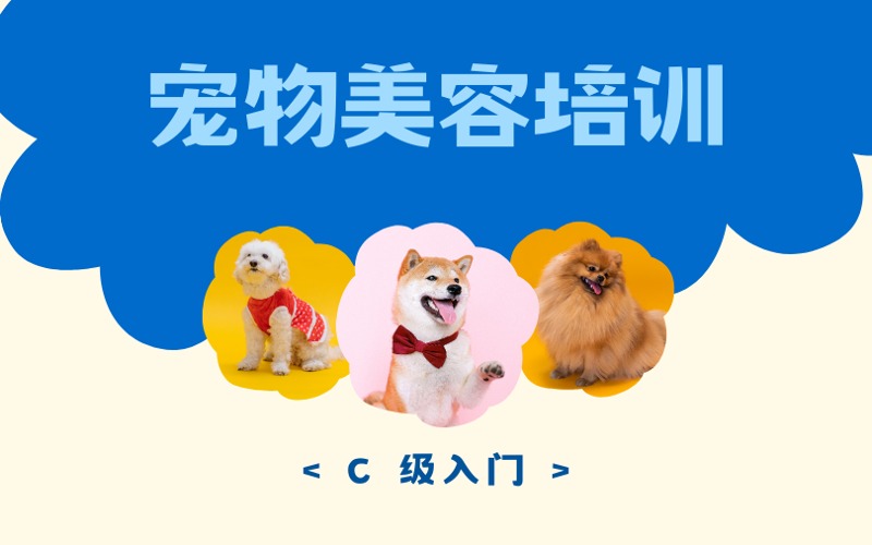 太原高端寵物美容C級入門培訓(xùn)課程