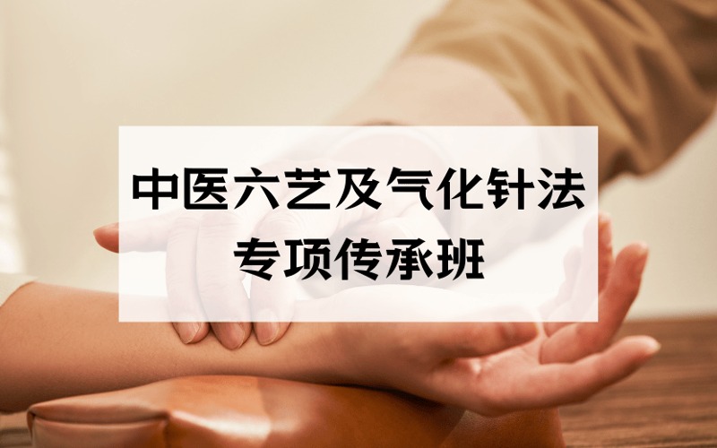 廣州中醫(yī)六藝及氣化針法專項(xiàng)傳承班