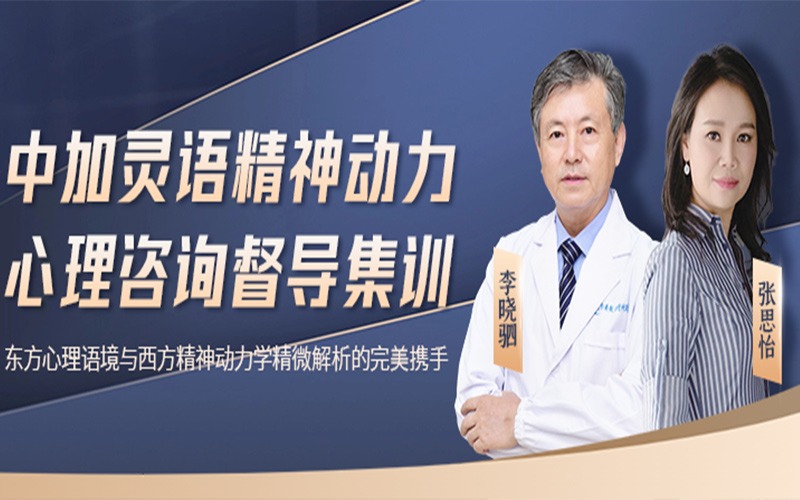 李晓驷&张思怡之精神动力地面督导集训
