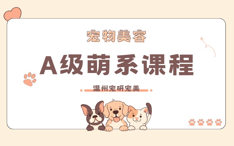 温州A级萌系成长课程