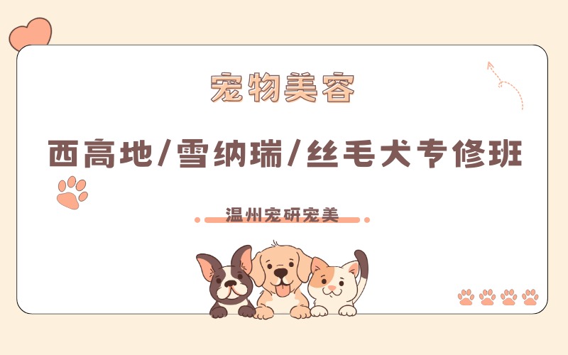温州西高地/雪纳瑞/丝毛犬专修培训班