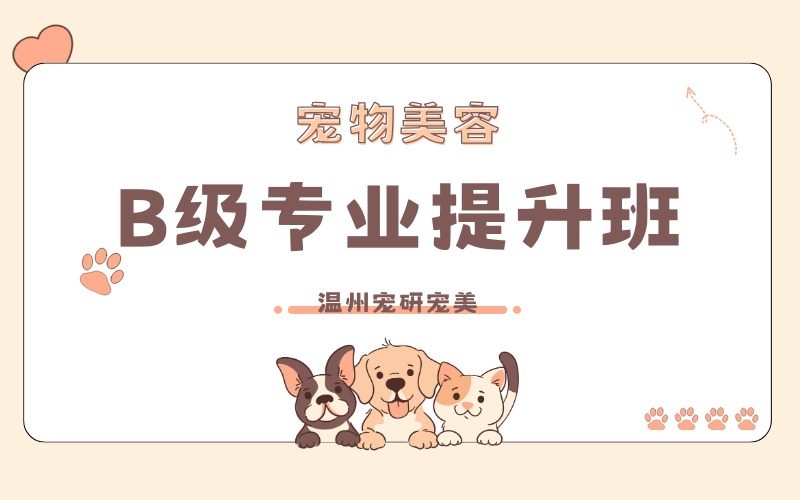 温州宠物美容B 级专业提升班