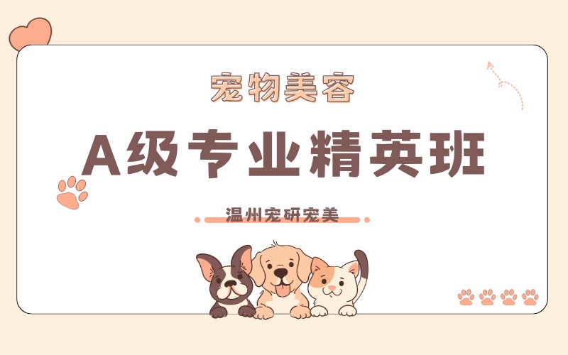 温州宠物美容A级专业精英培养班