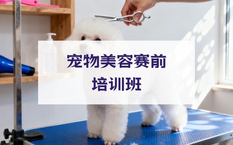 武汉宠物美容赛前培训班