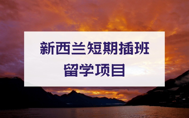 新西兰短期插班留学申请项目