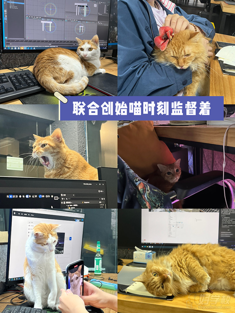 教学现场