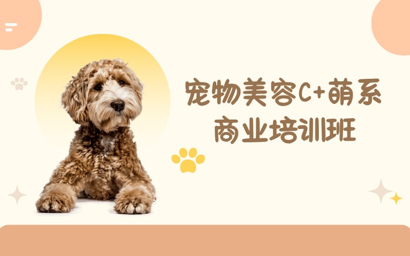 成都寵物美容C+萌系商業(yè)培訓(xùn)班