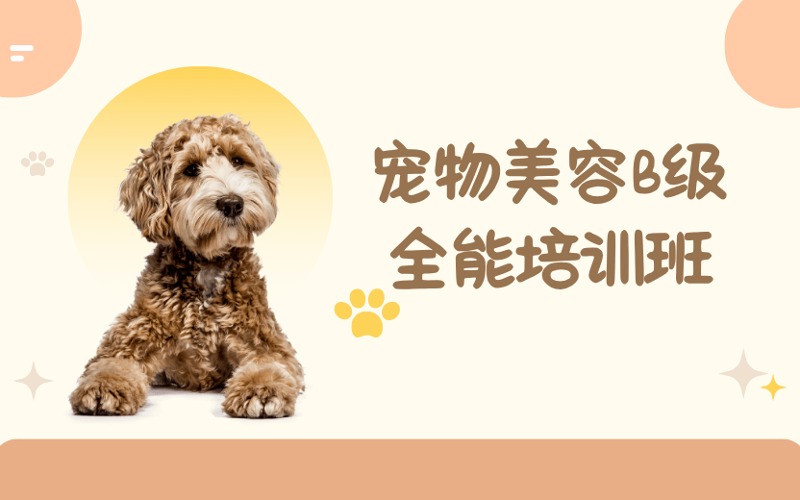 成都寵物美容B級(jí)全能培訓(xùn)班