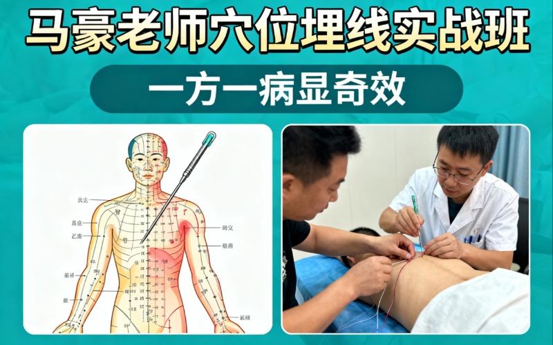 【马豪老师】穴位埋线实战班