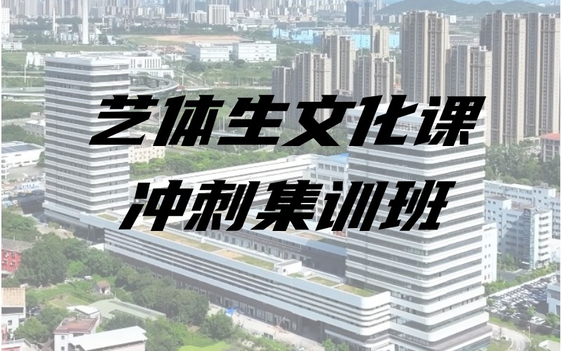 廈門藝體生文化課沖刺集訓班