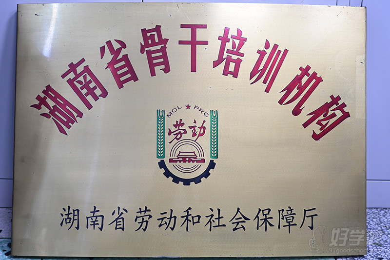 机构资质荣誉--东升