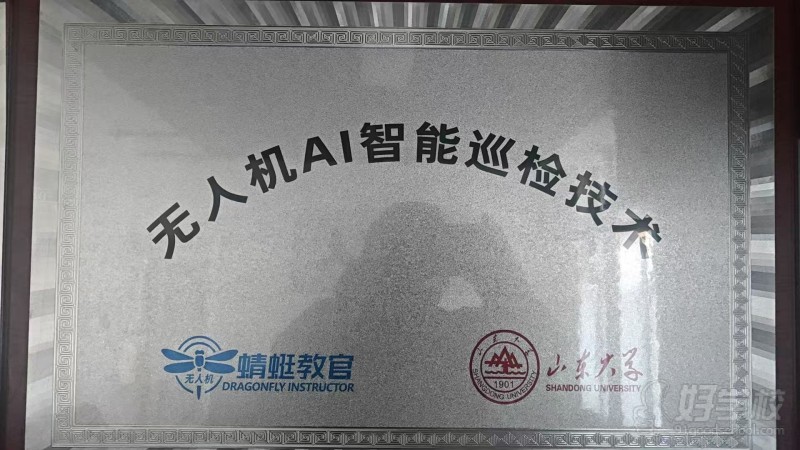 ai只能巡检资质