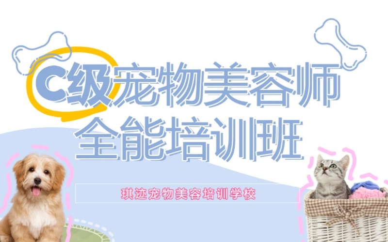 哈爾濱C級寵物美容師全能培訓班