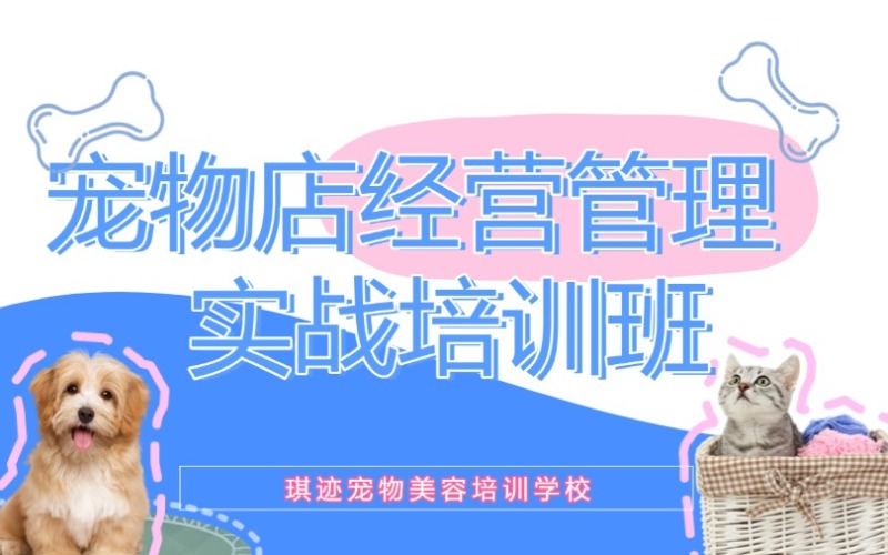 哈爾濱寵物店經(jīng)營管理實戰(zhàn)培訓班