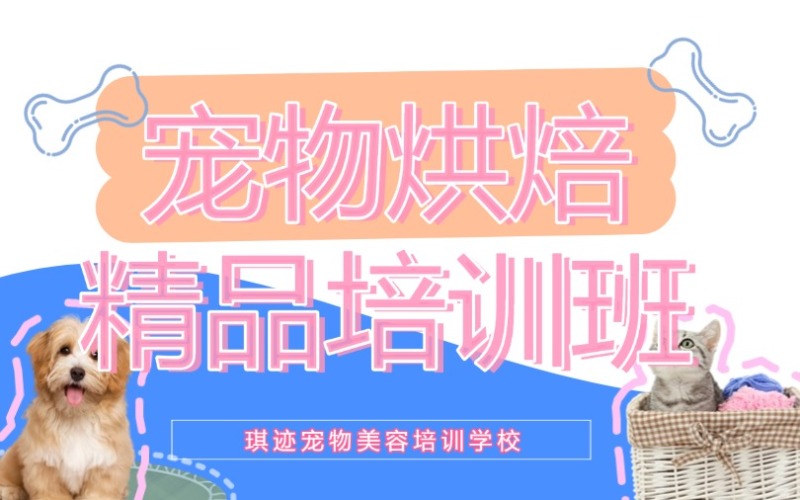 哈爾濱寵物烘焙精品培訓班