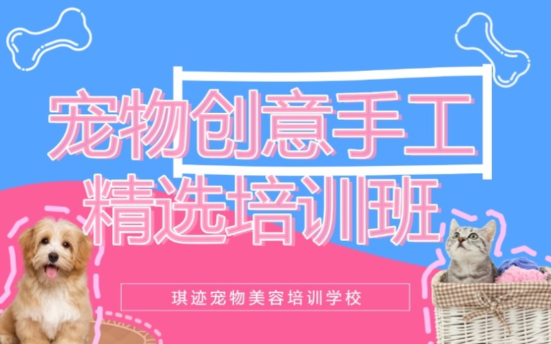 哈爾濱寵物創(chuàng)意手工培訓班
