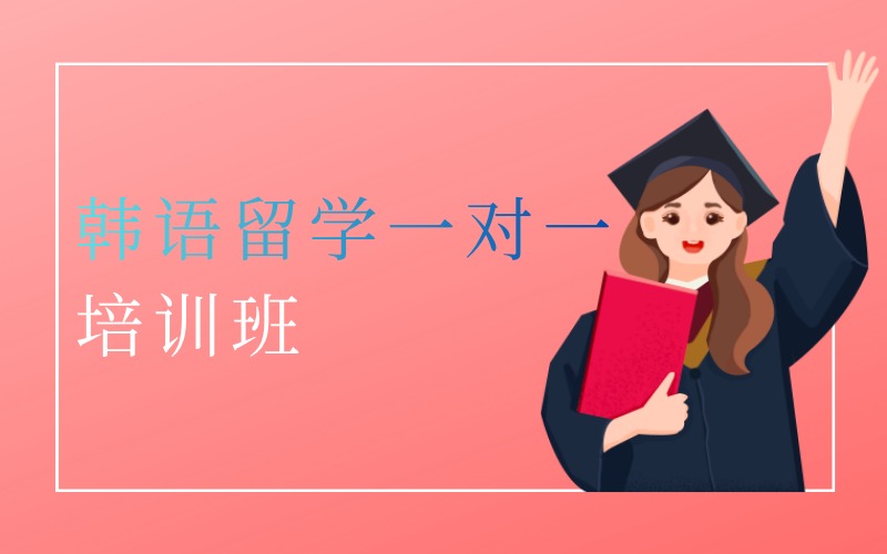 深圳VIP韓語出國留學(xué)一對一培訓(xùn)班
