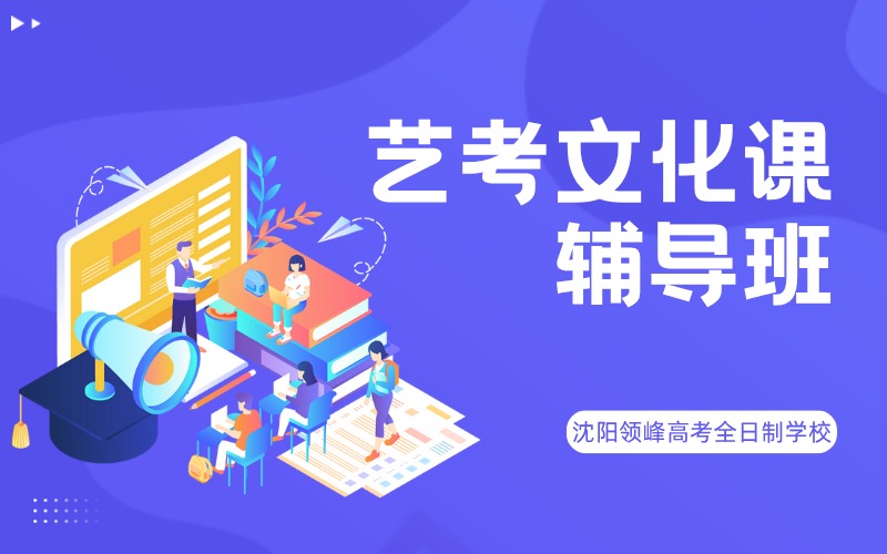 沈阳艺考文化课冲刺辅导班