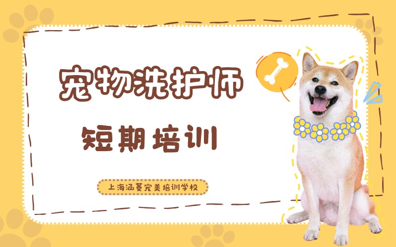 上海宠物洗护师短期培训班