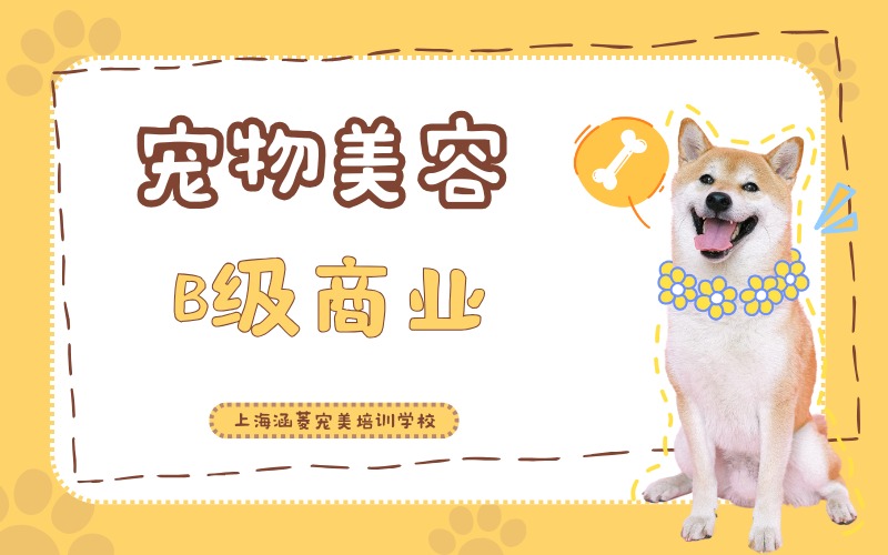 上海宠物美容师B级商业培训班