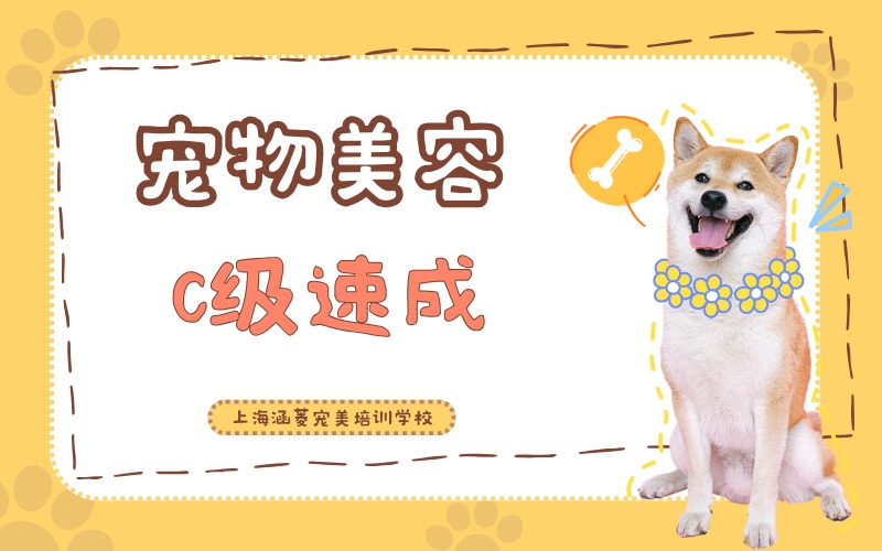上海宠物美容师C级速成培训班