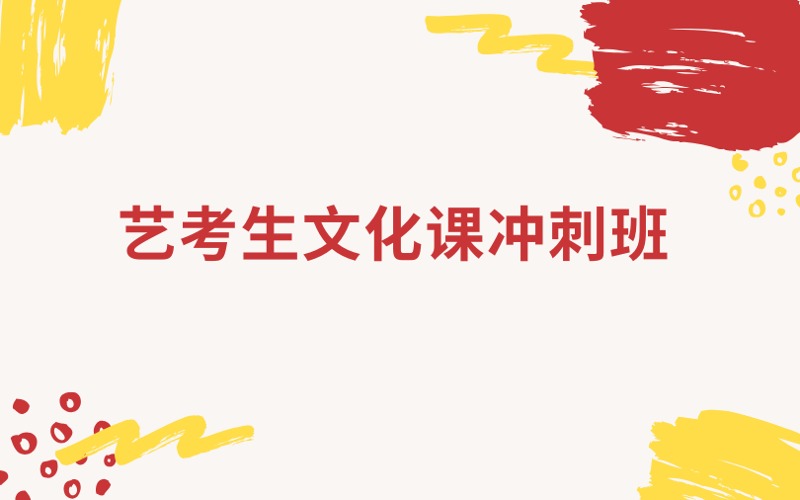 南京藝考生文化課沖刺班