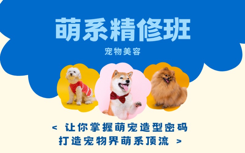 鄭州寵物美容萌系精修班