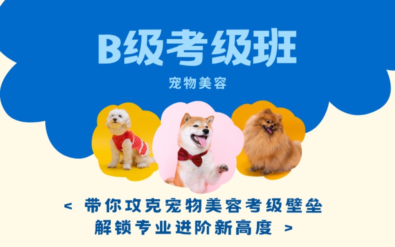 鄭州寵物美容B級(jí)考級(jí)班