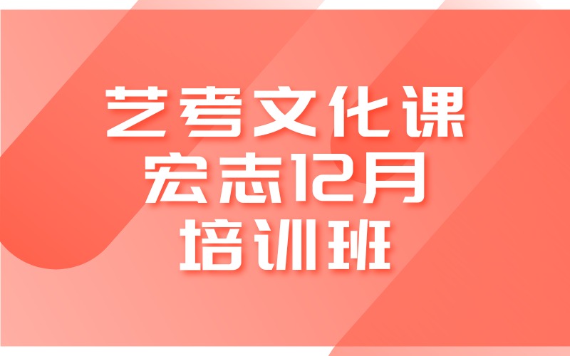 武漢藝考文化課宏志12月培訓(xùn)班