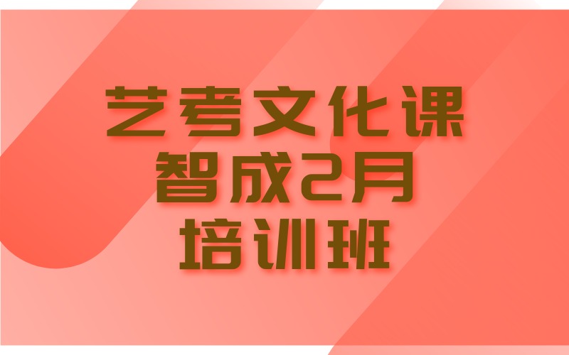 武漢藝考文化課智成2月培訓(xùn)班