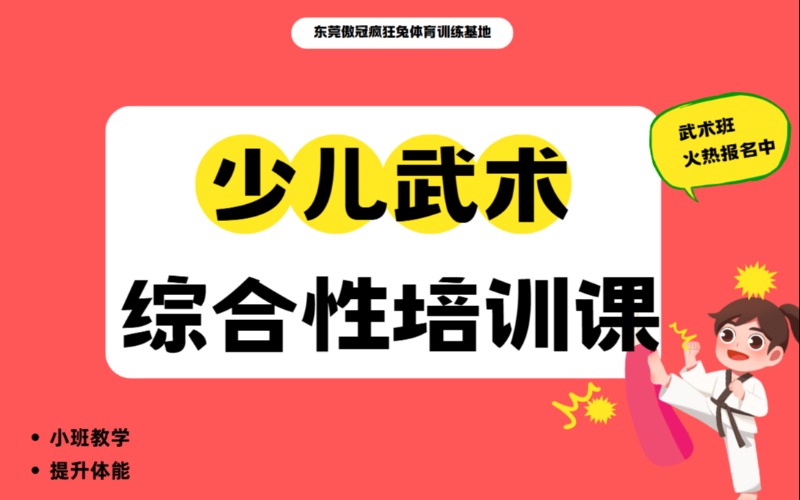 東莞少兒武術(shù)綜合性培訓(xùn)課