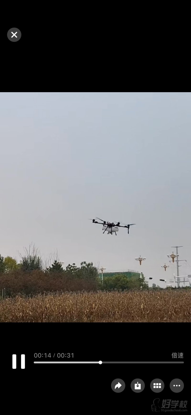 无人机植保现场培训2