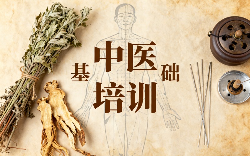 武汉专业中医基础培训班