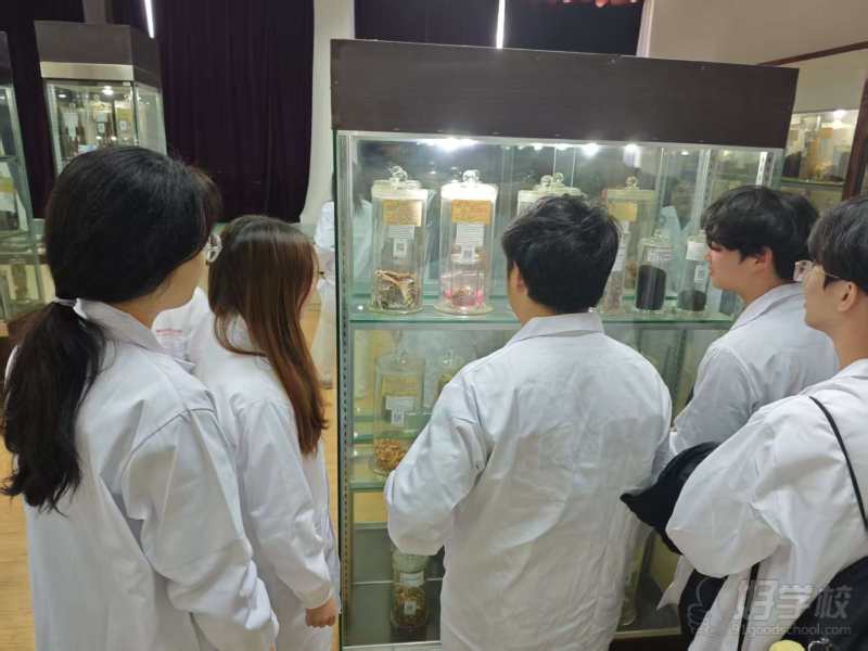 参观中药标本馆