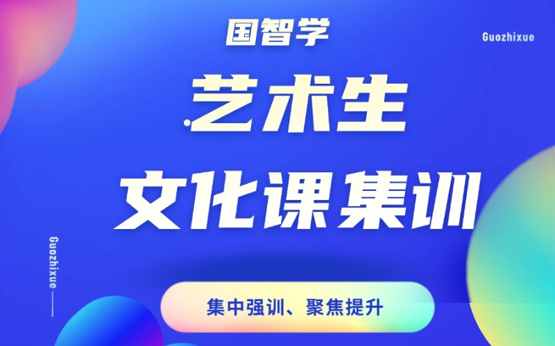 艺术生全日制文化课集训辅导班