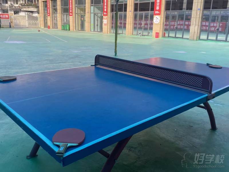 乒乓球台