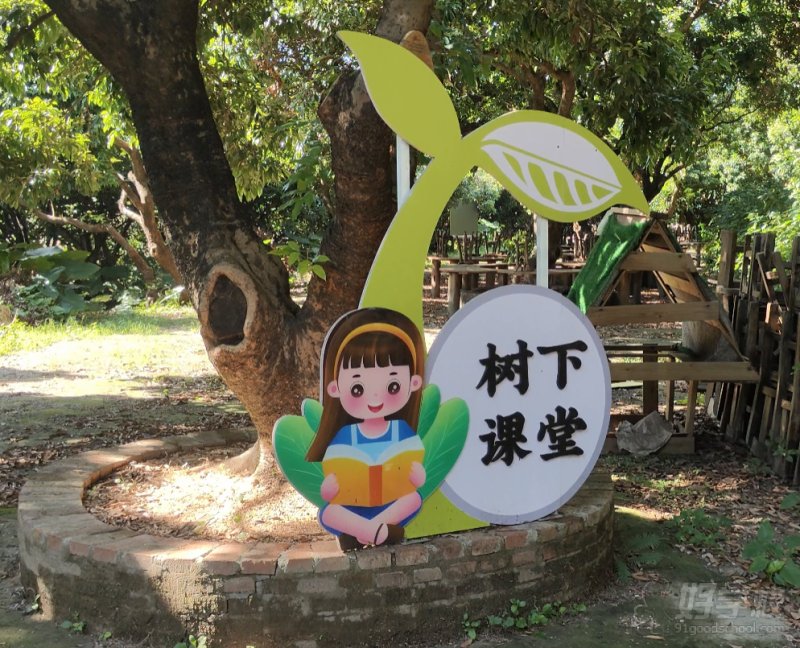 树下课堂