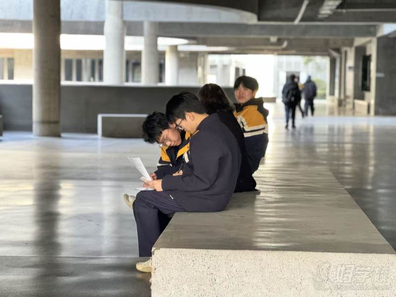 学生认真学习互相交流学习