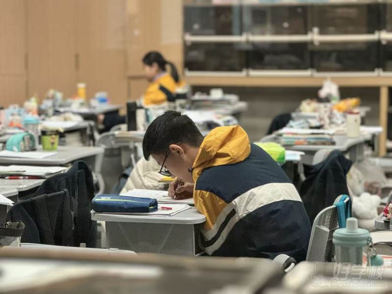 学生认真学习互相交流学习