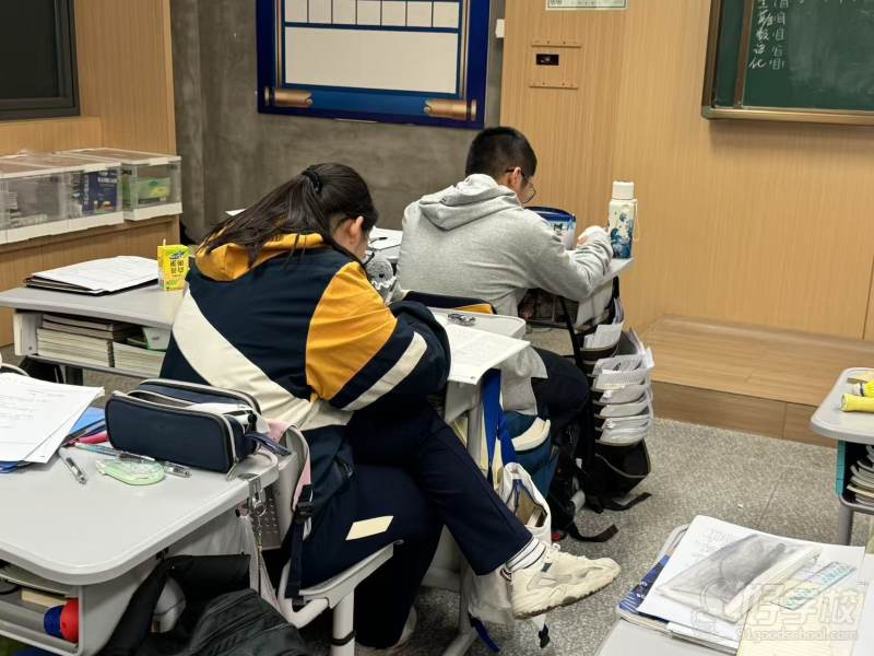 学生认真学习互相交流学习