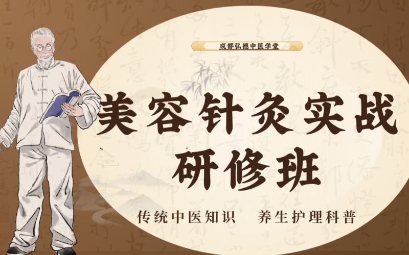 成都美容针灸实战研修班